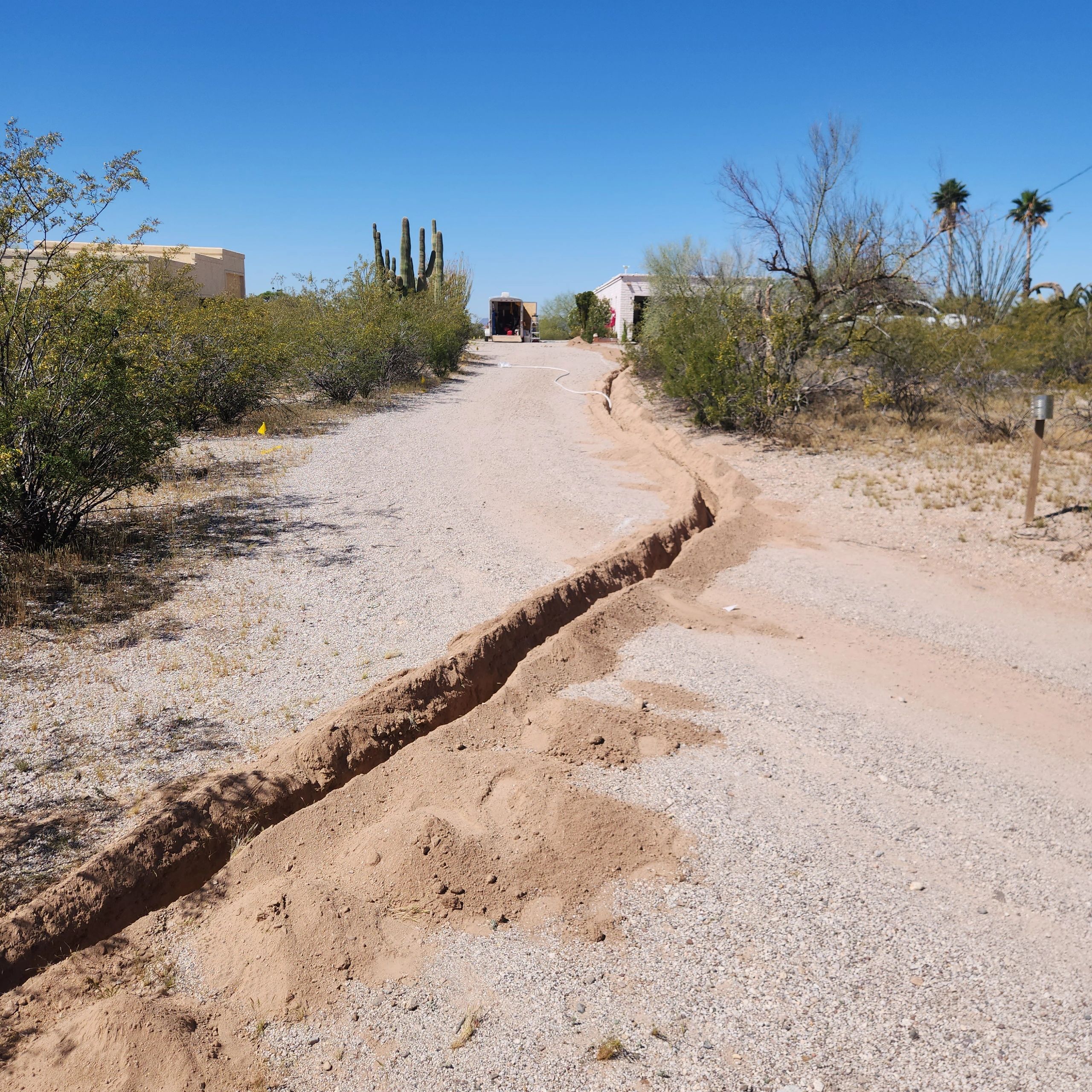 Desert road with saguaro cactus